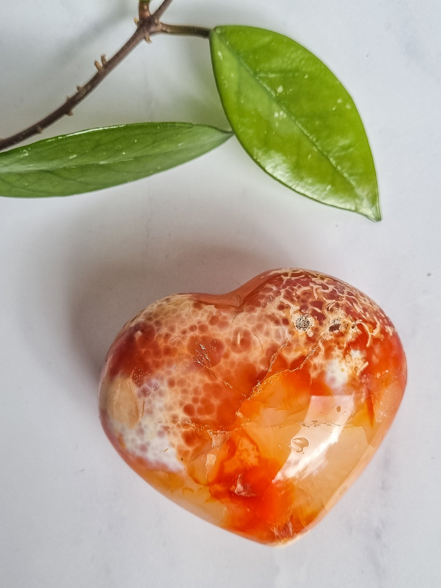Carnelian Hearts