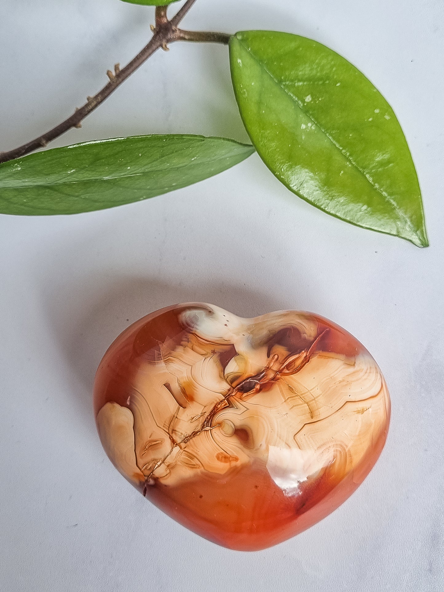Carnelian Hearts