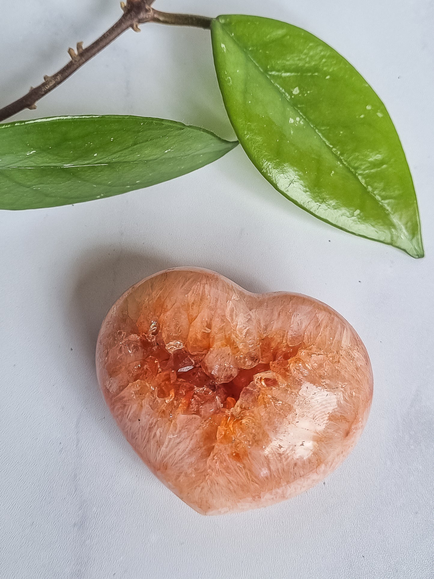 Carnelian Hearts