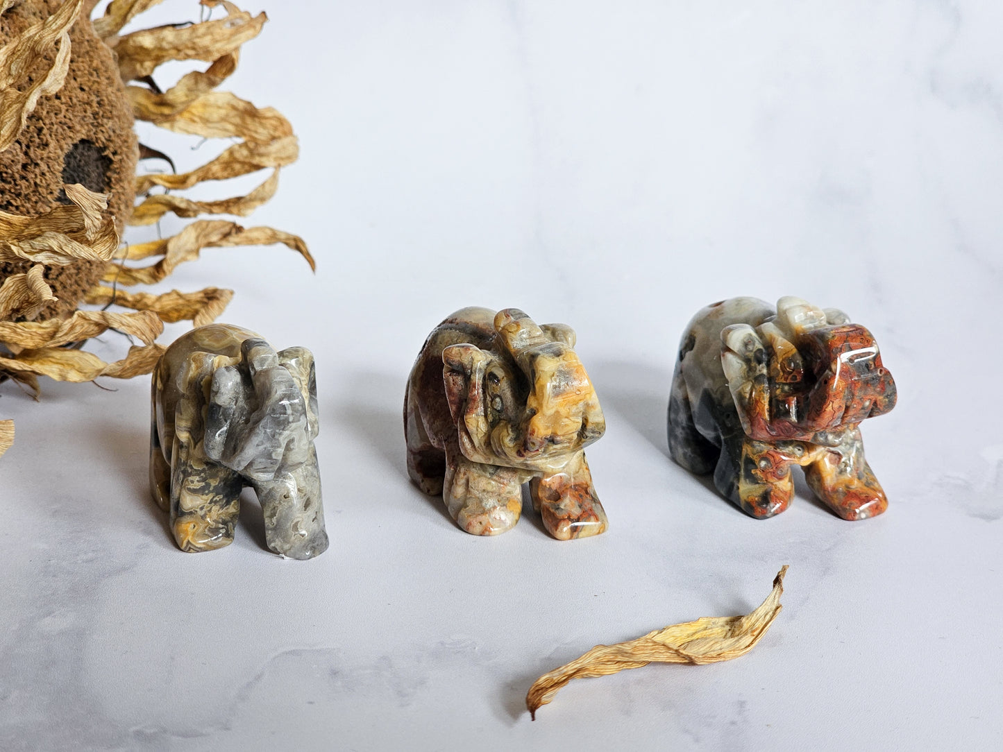 Crazy Lace Agate Elephants