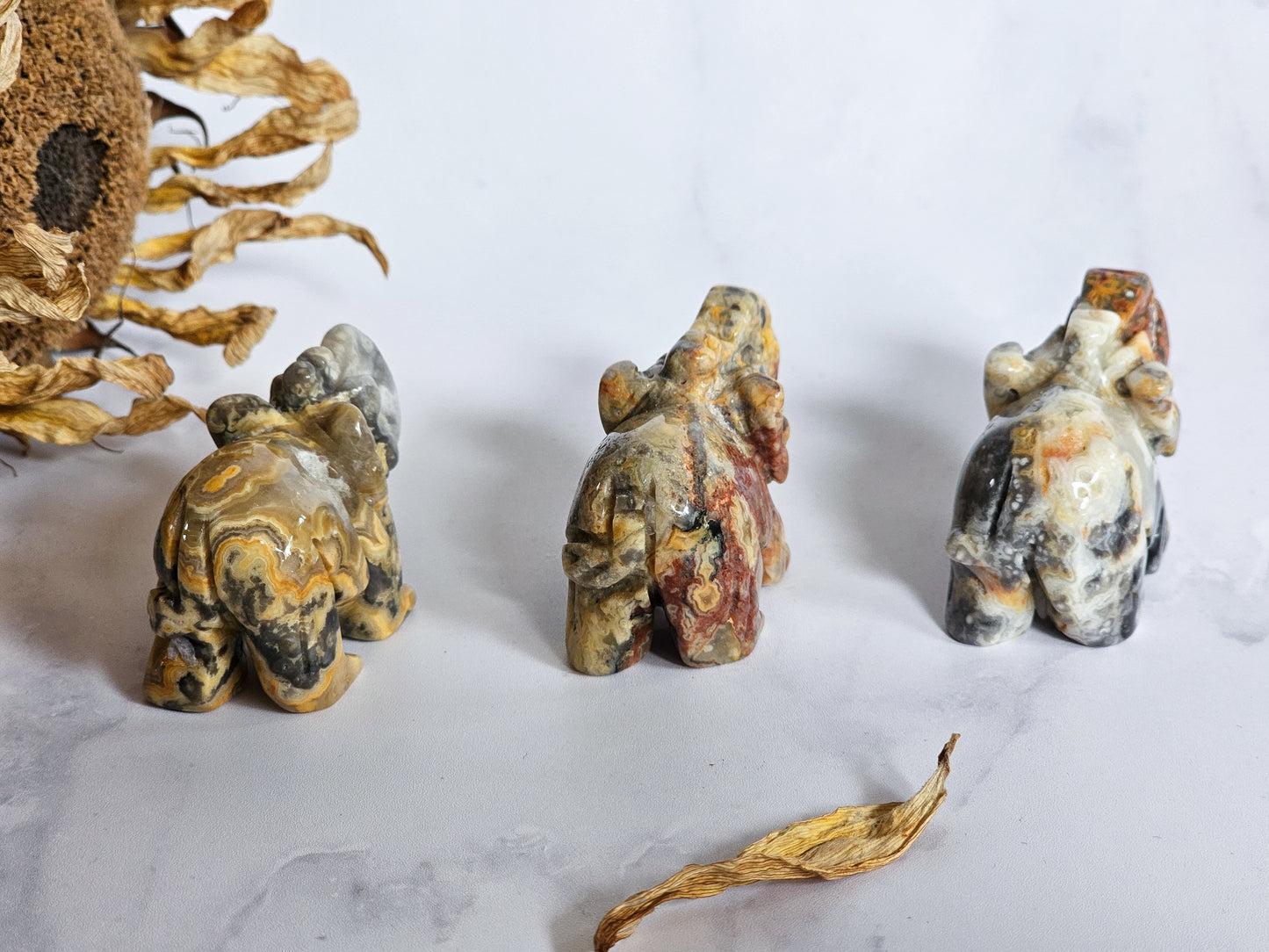 Crazy Lace Agate Elephants