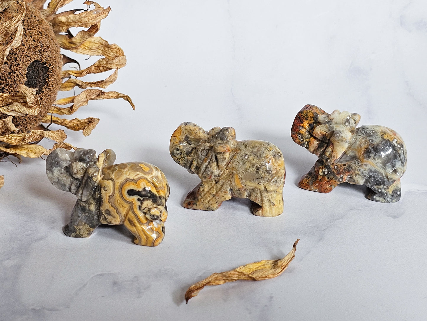 Crazy Lace Agate Elephants