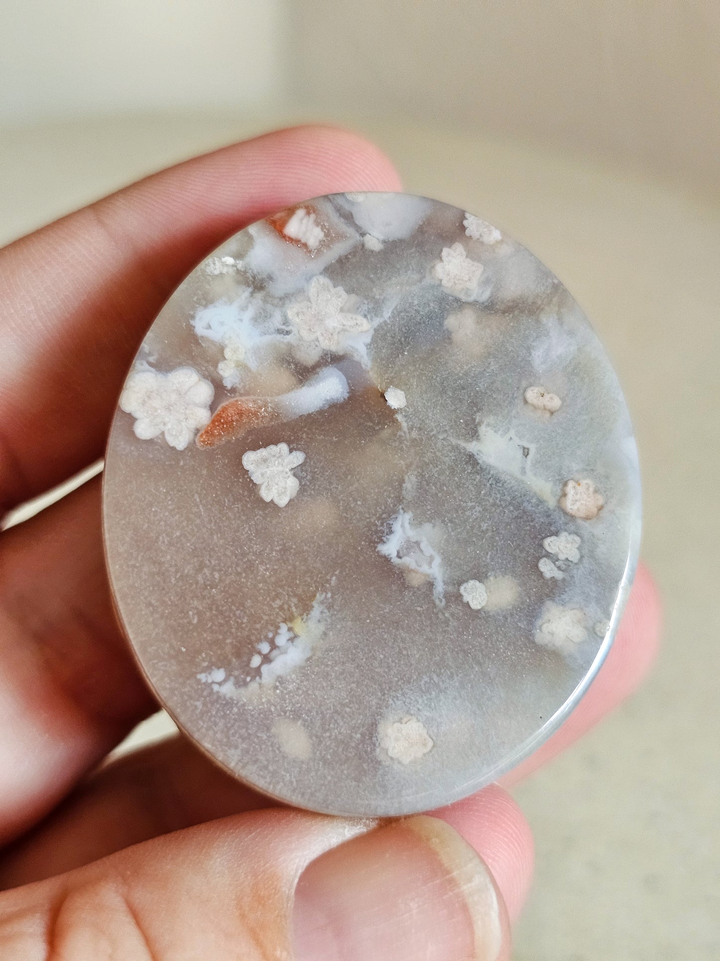 Flower Agate Disc