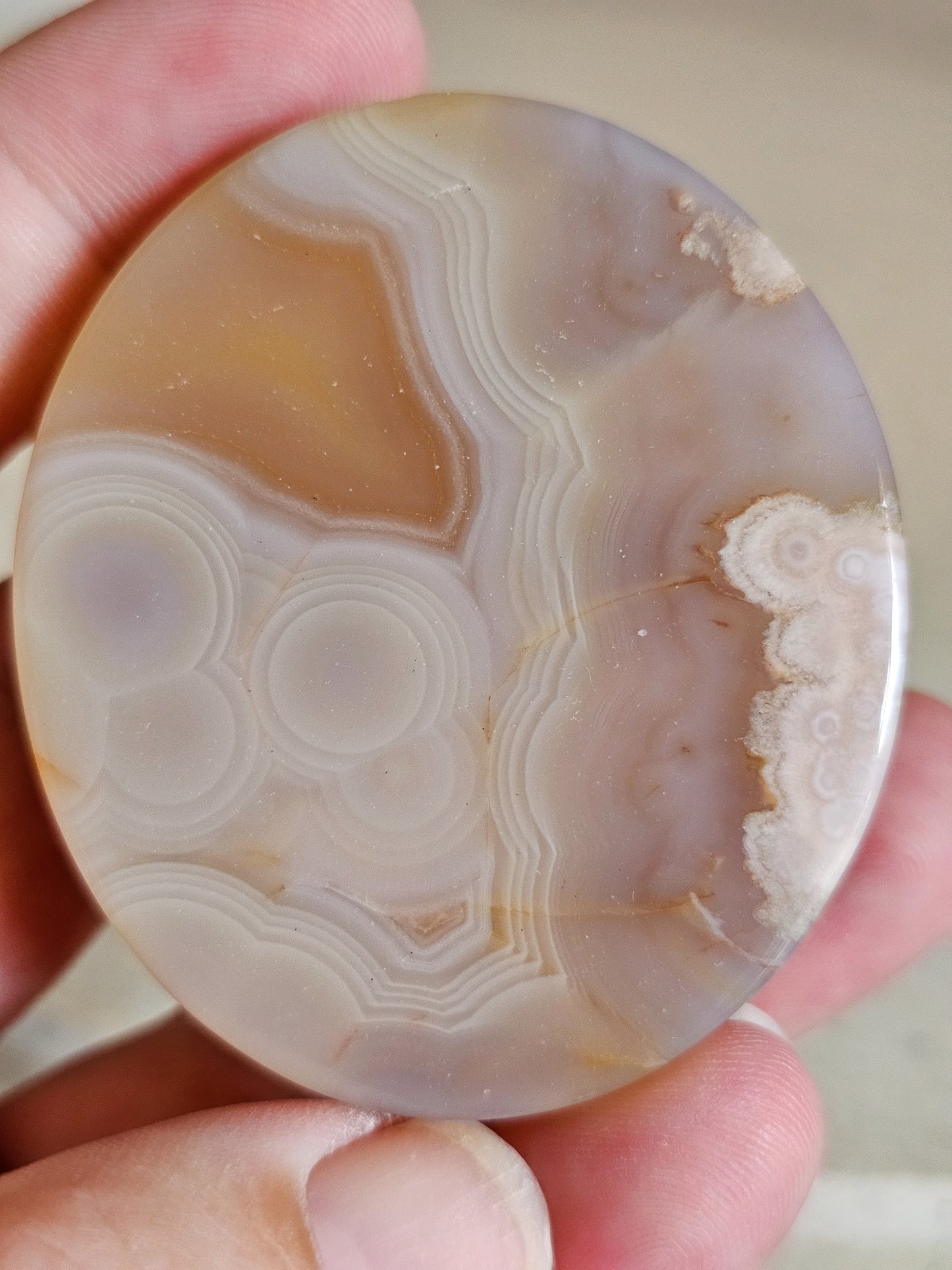 Flower Agate Disc
