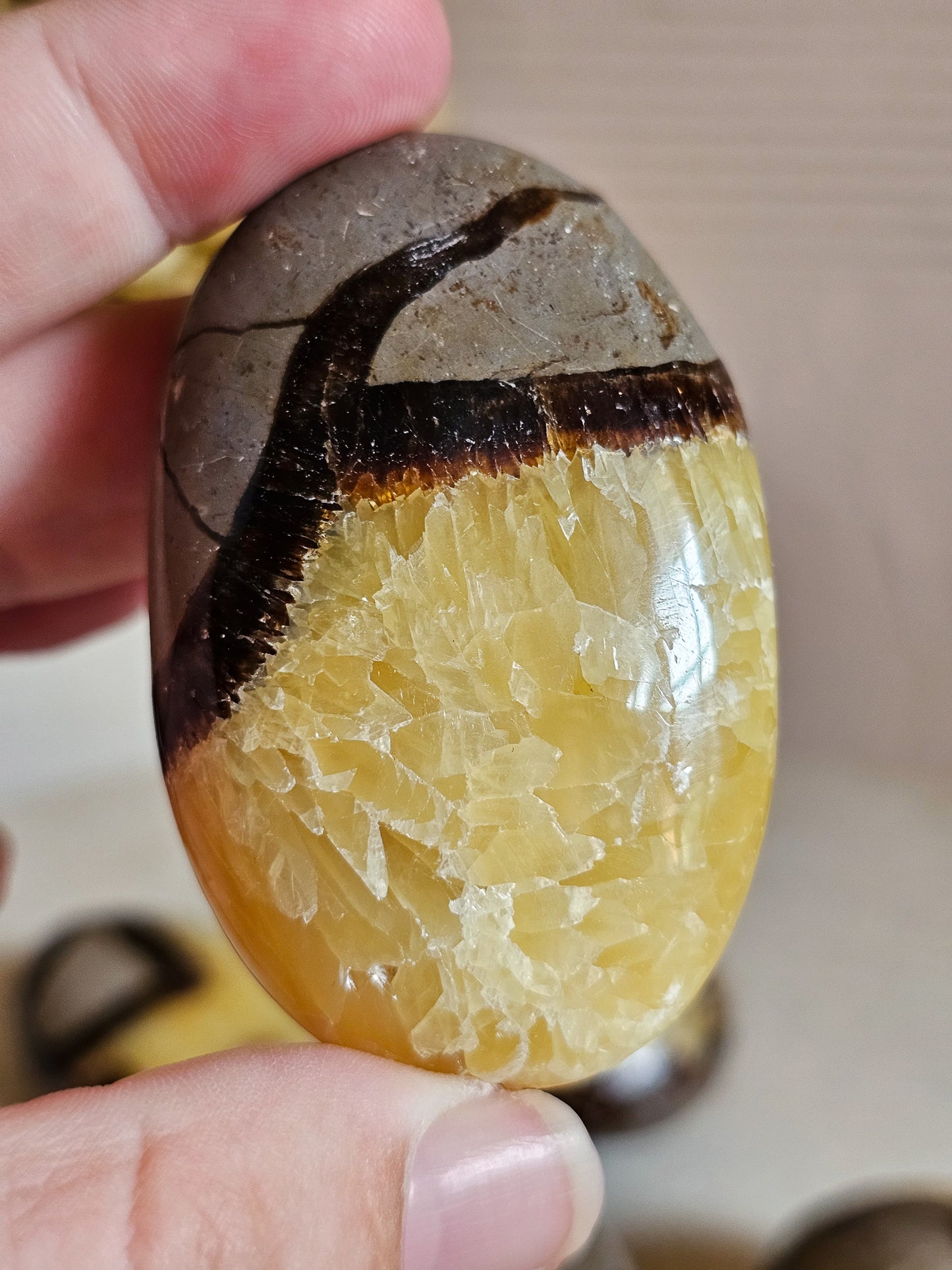 Septarian Palm Stones