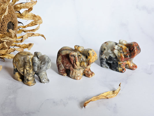 Crazy Lace Agate Elephants