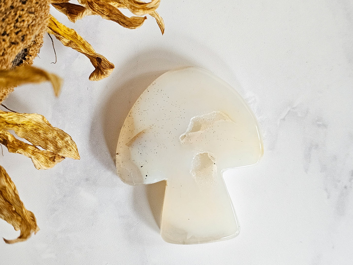 Agate Mushroom Slab