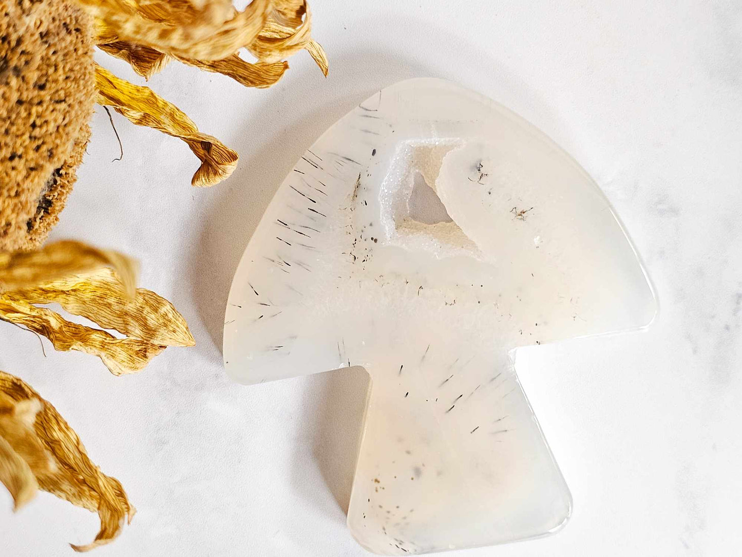 Agate Mushroom Slab